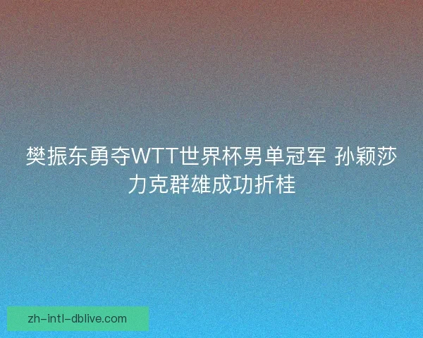 樊振东勇夺WTT世界杯男单冠军 孙颖莎力克群雄成功折桂